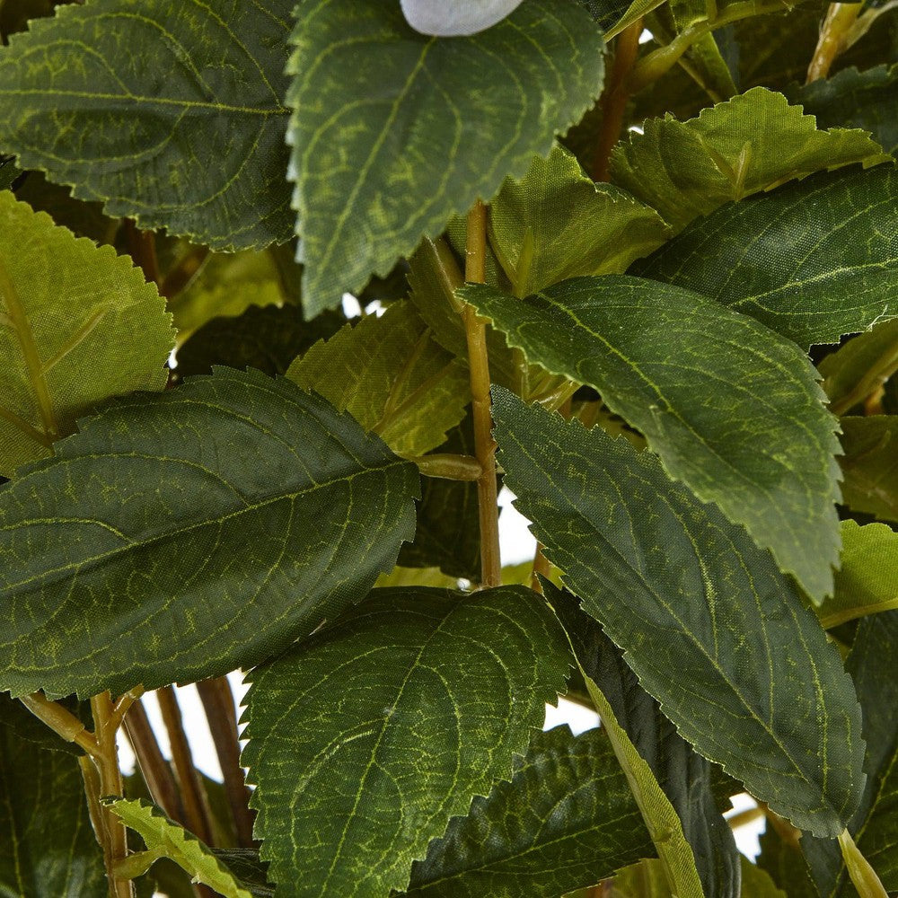 Green Hydrangea Plant Pot