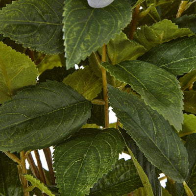 Green Hydrangea Plant Pot