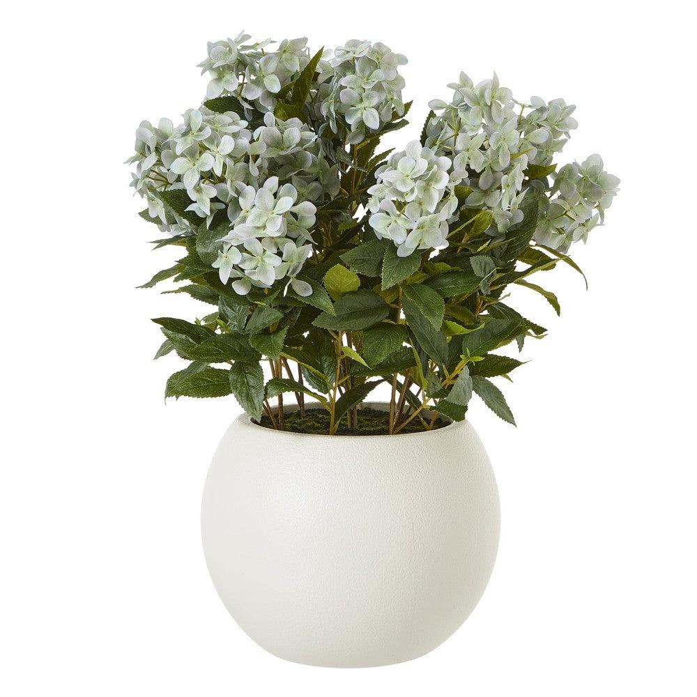 Green Hydrangea Plant Pot