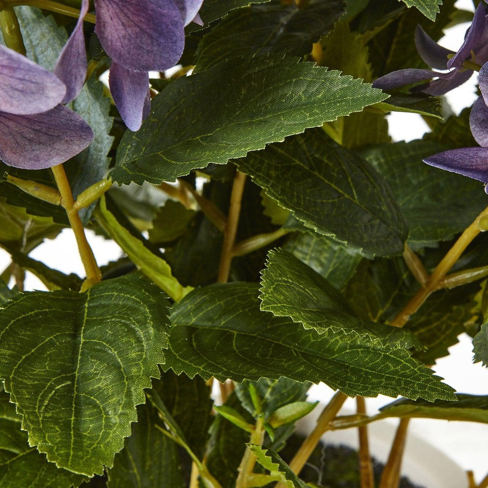 Purple Hydrangea Plant Pot