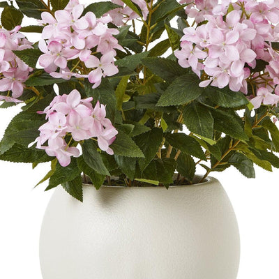 Pink Hydrangea Plant Pot