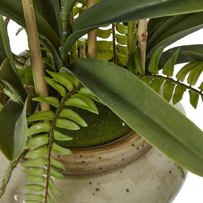 White Vanda Orchid Plant Pot