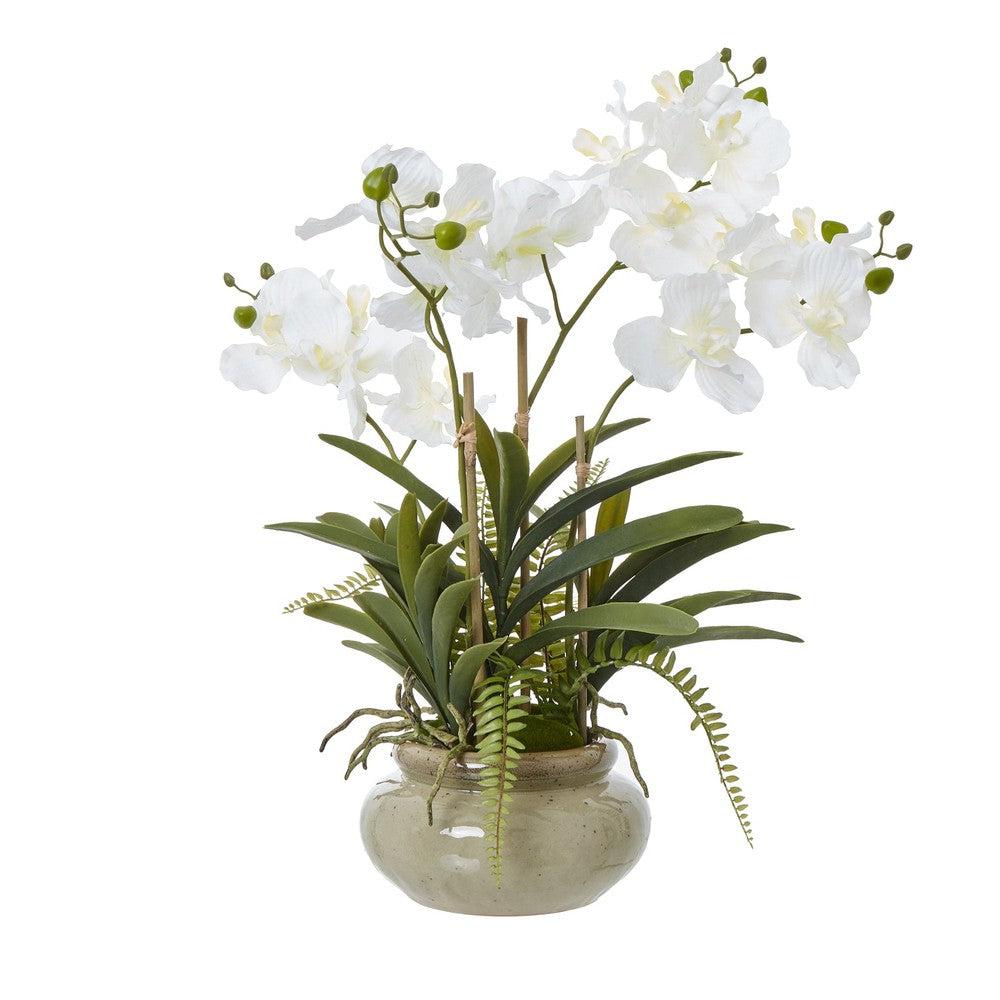 White Vanda Orchid Plant Pot