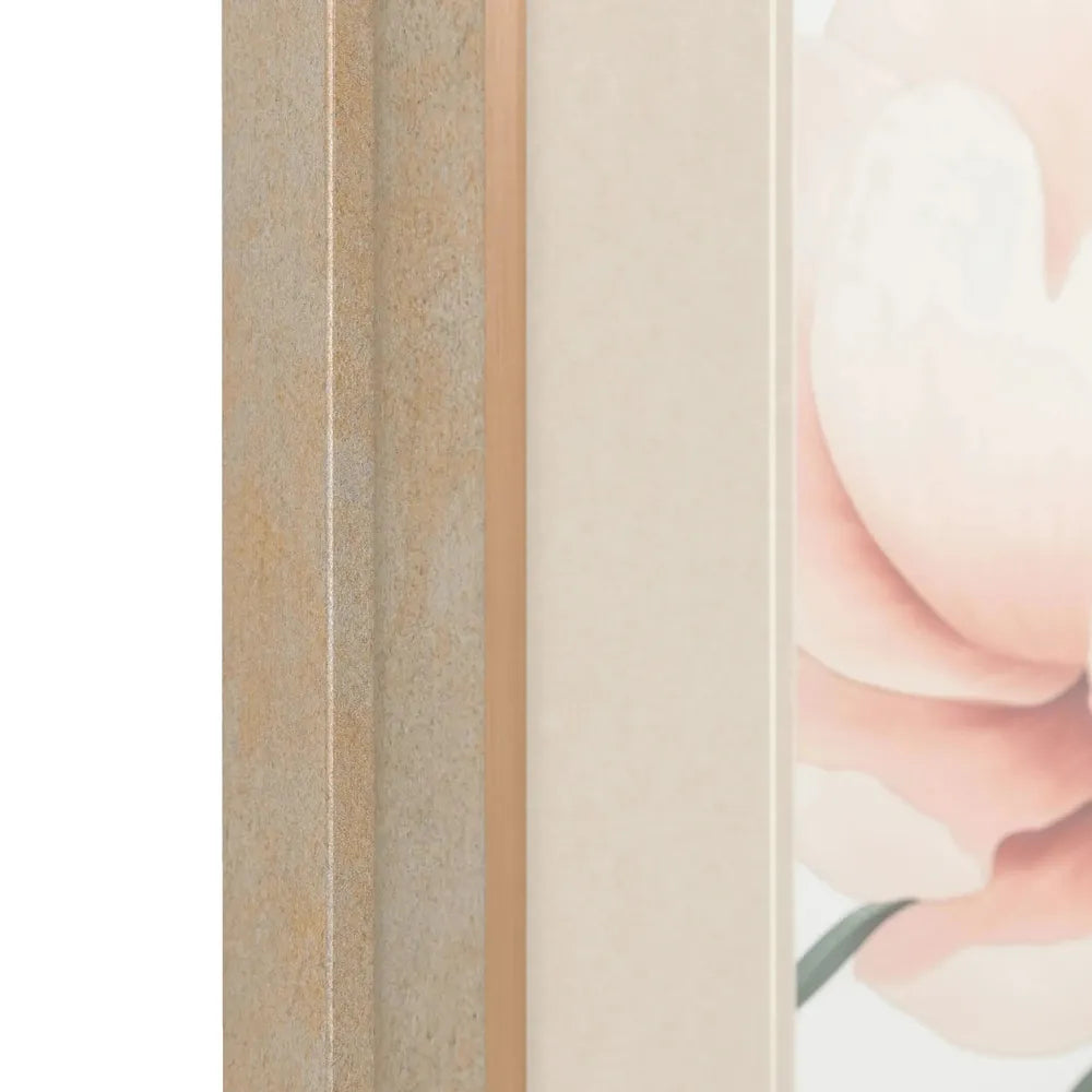 Peony Framed Art Pack