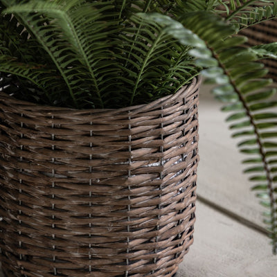 Potted Fern Plant Large