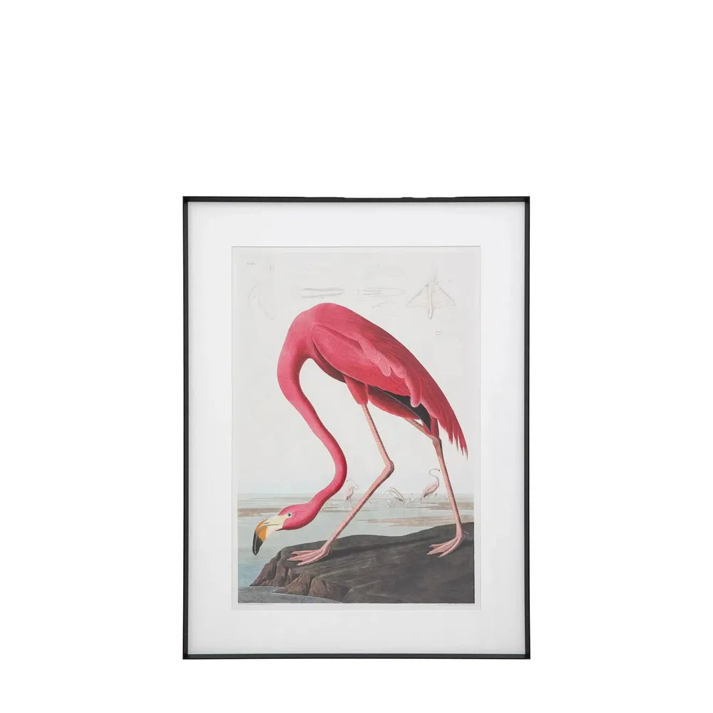 Wading Flamingo Framed Art