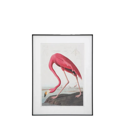 Wading Flamingo Framed Art