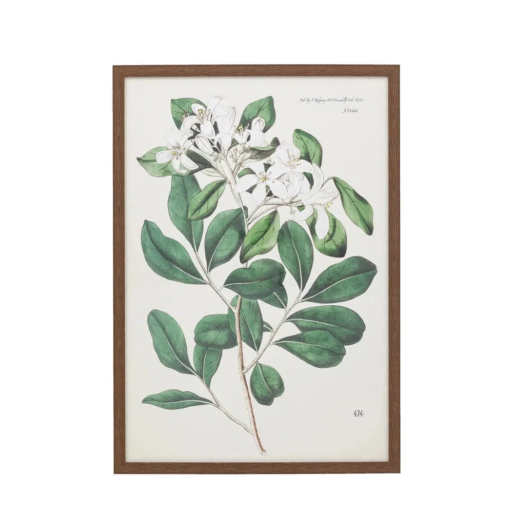 Foliage and Blooms Framed Art