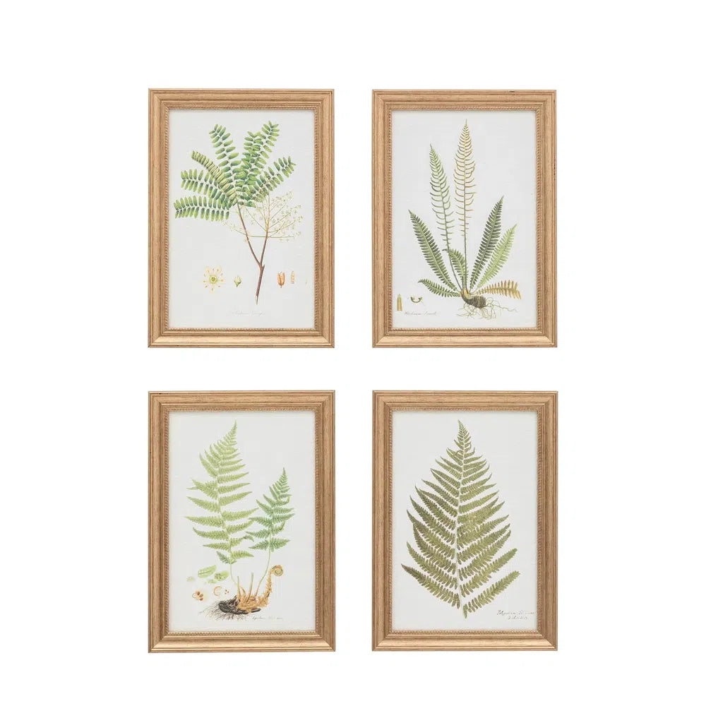 x4 Assorted Ferns Framed Art