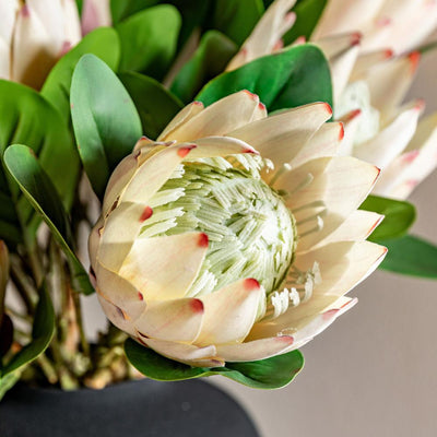 Faux Stem Statement Tropical Ivory
