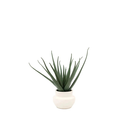 Faux Aloe Vera in Ceramic Pot