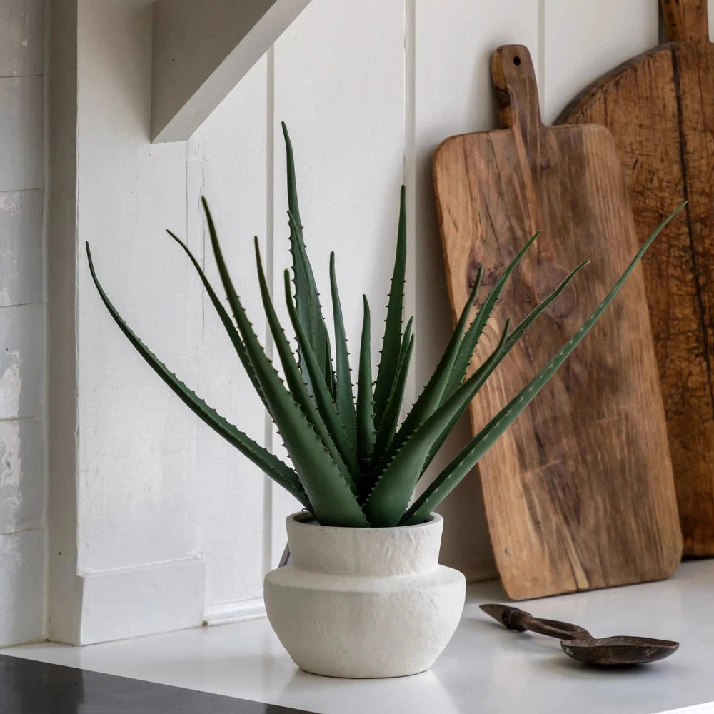 Faux Aloe Vera in Ceramic Pot