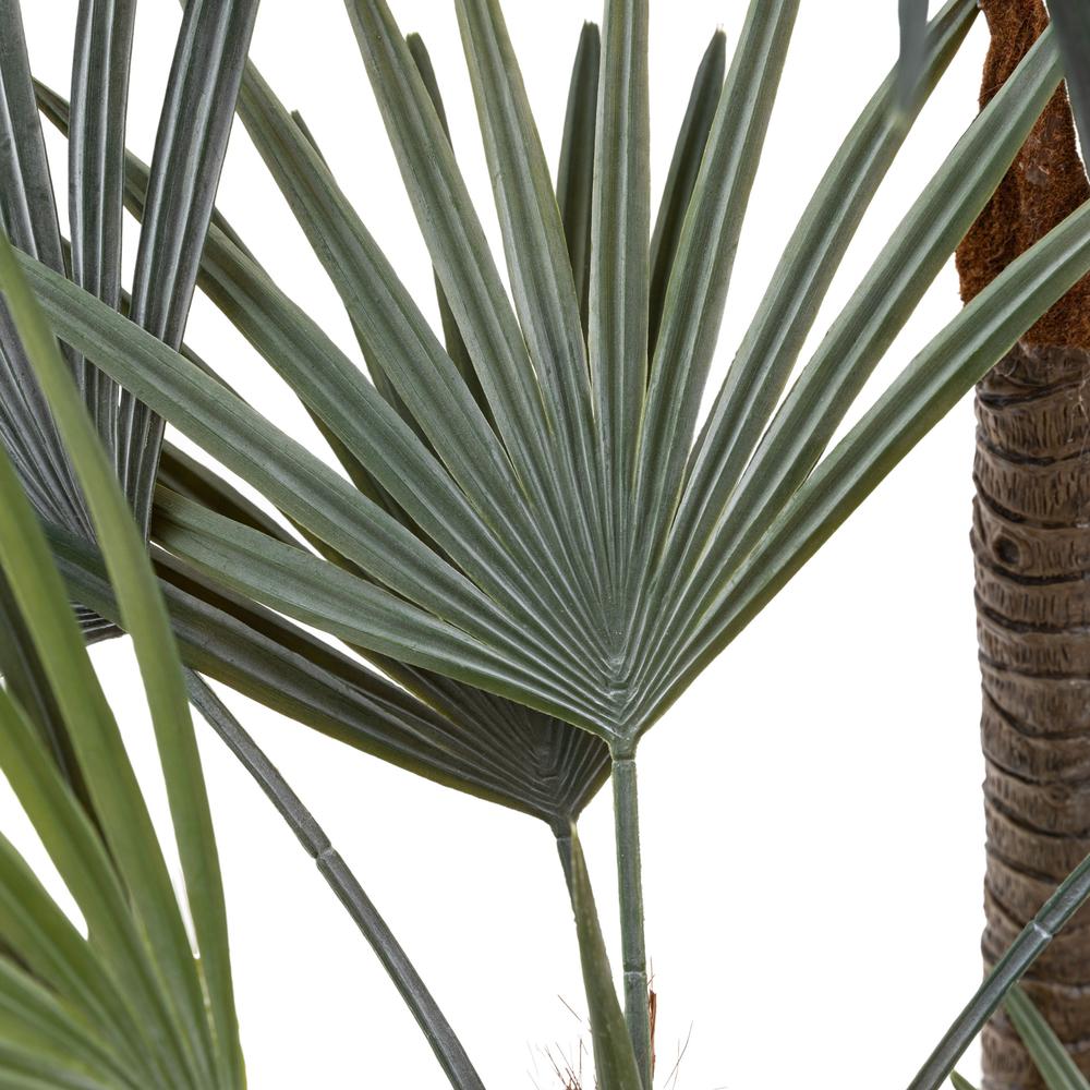 Potted Statement Palm