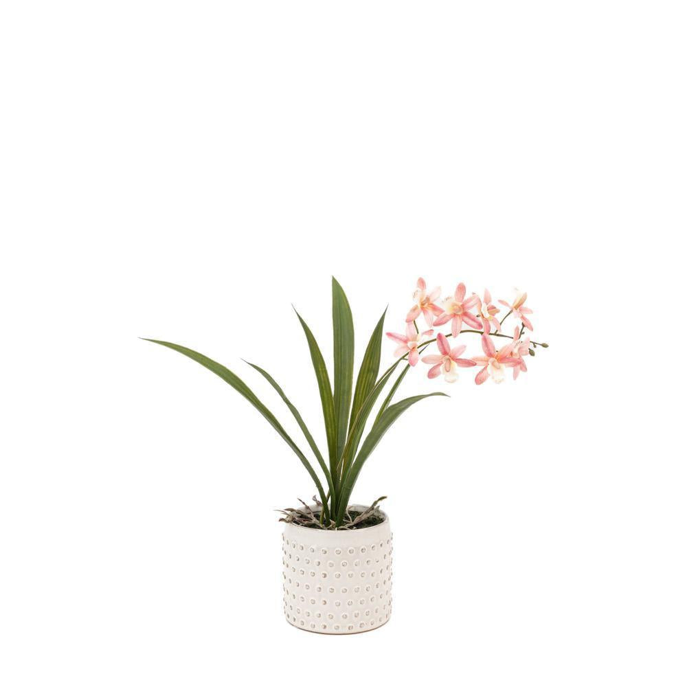 Orchid Orchid White Ceramic Dot Pot