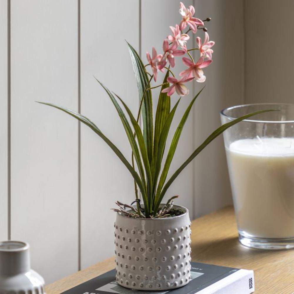 Orchid Orchid White Ceramic Dot Pot