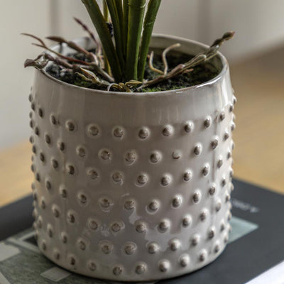 Orchid Orchid White Ceramic Dot Pot