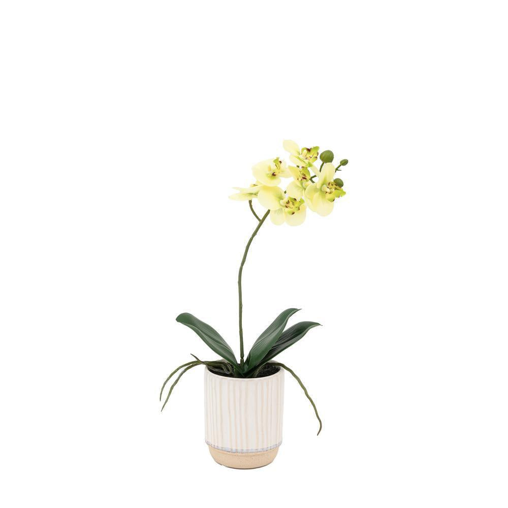 Orchid Cream White Ceramic Pot