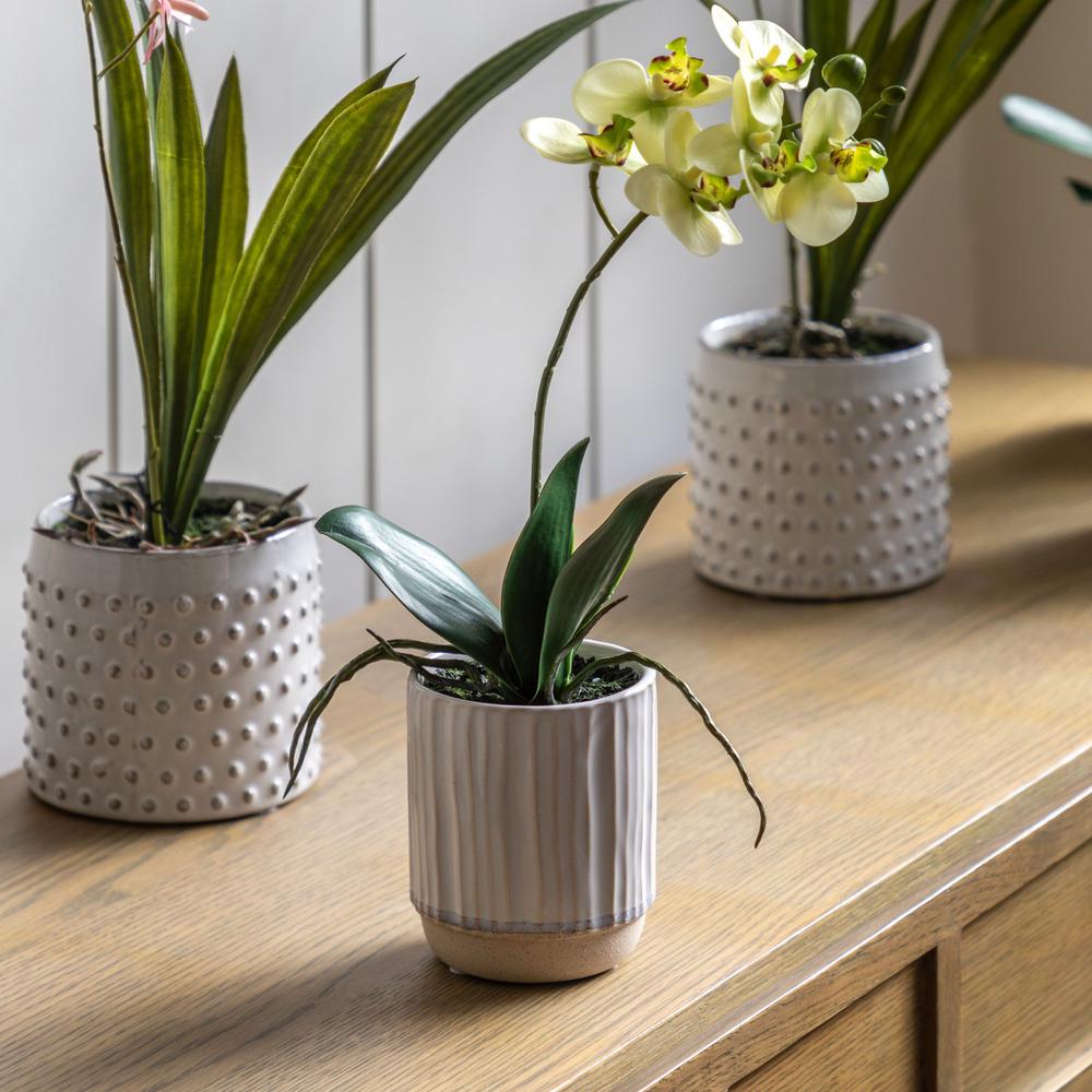 Orchid Cream White Ceramic Pot