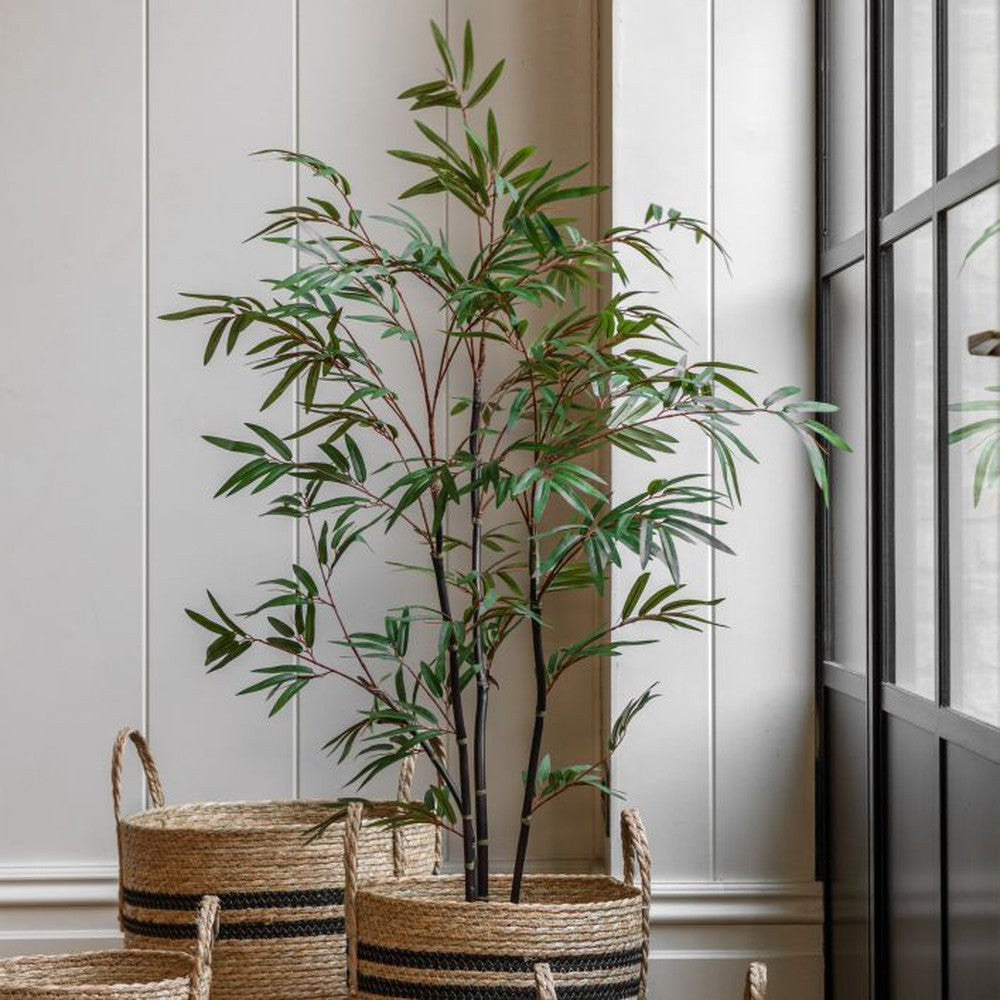 Potted Bamboo Tree Small