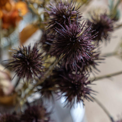 Dahlia Autumnal Bouquet Rust
