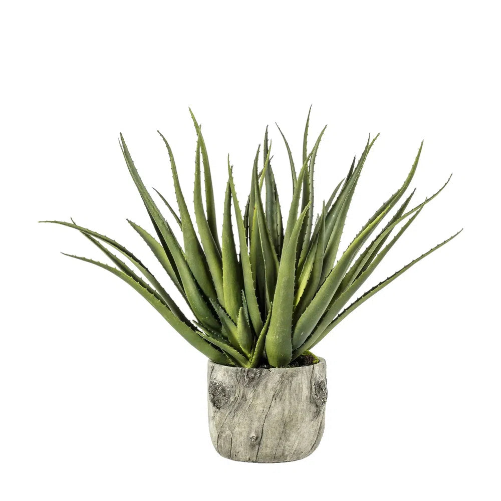 Aloe Bark Effect Pot