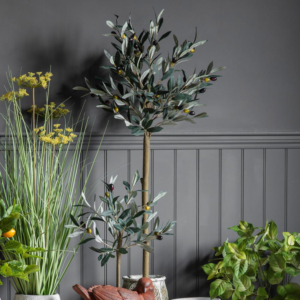 Olive Tree Medium