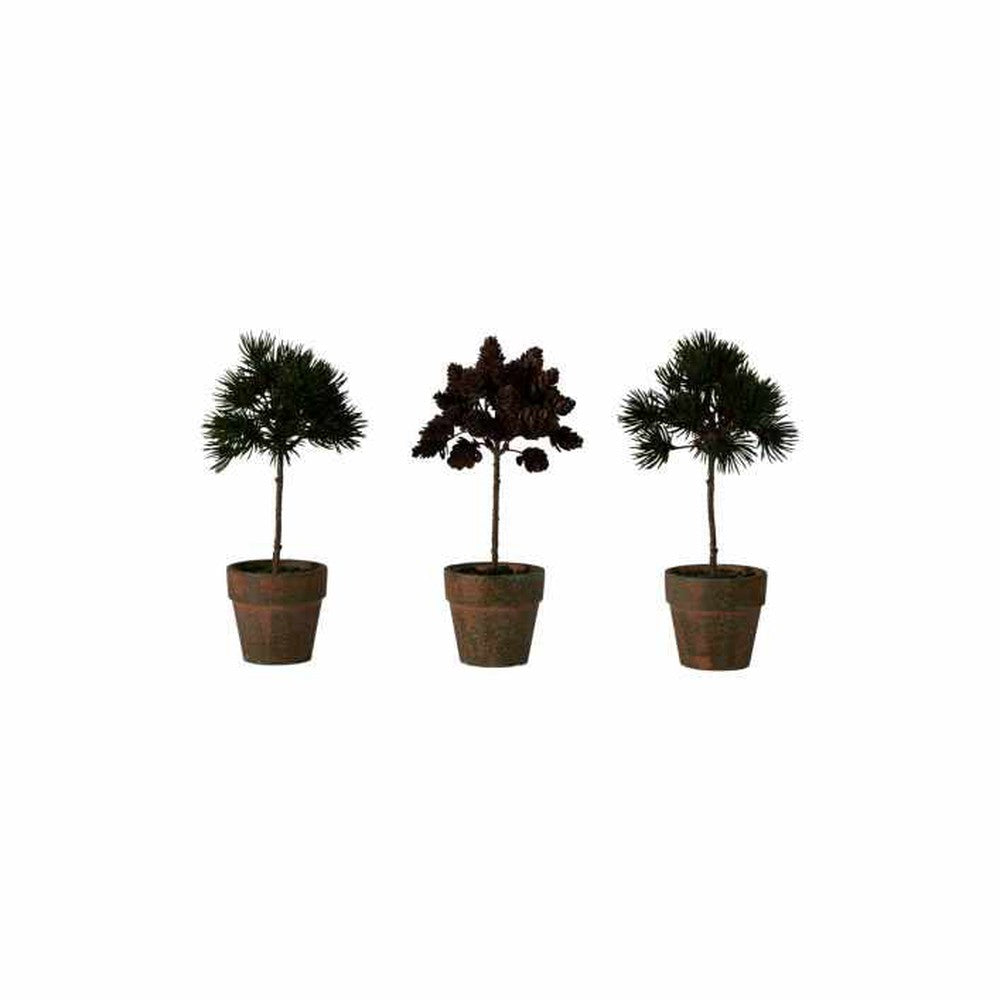 x3 Potted Pine Cone Trees
