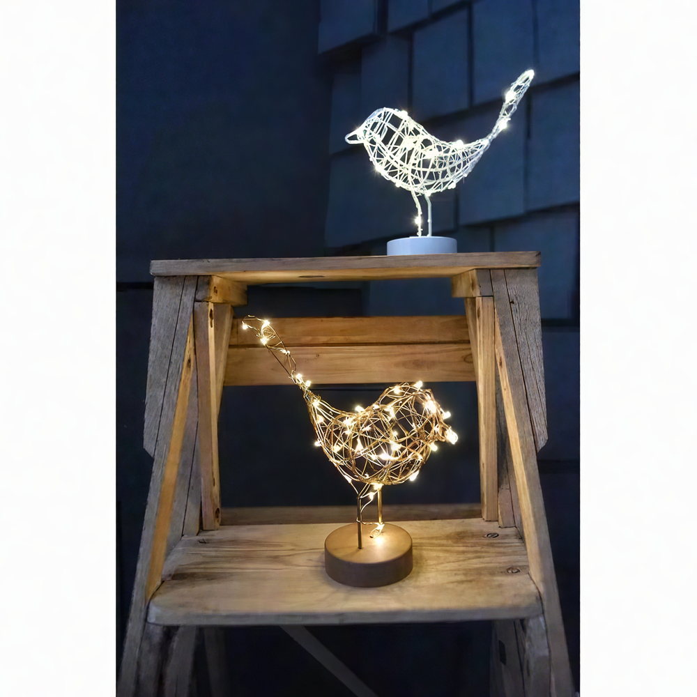 x12 Robin Lights