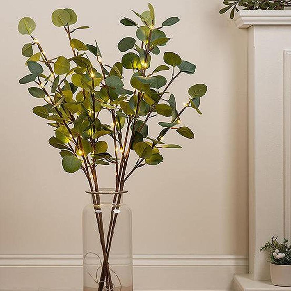 Eucalyptus Branch With Lights