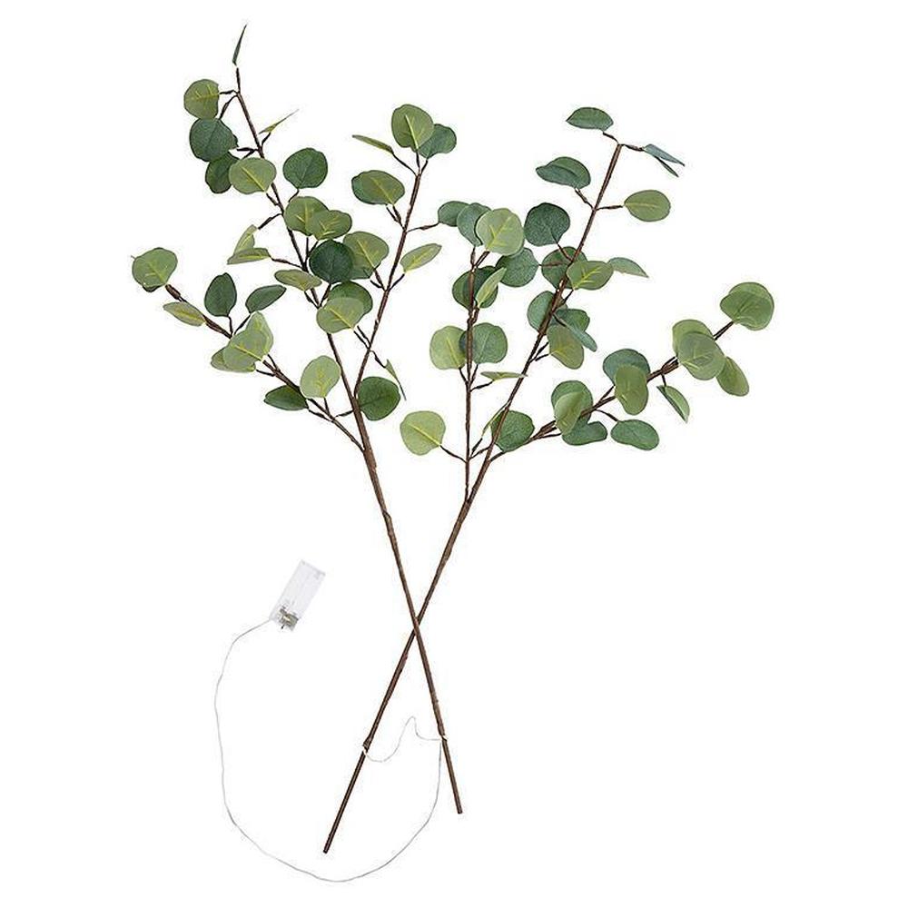 Eucalyptus Branch With Lights