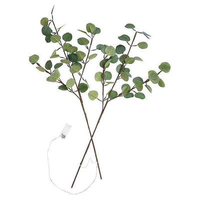 Eucalyptus Branch With Lights