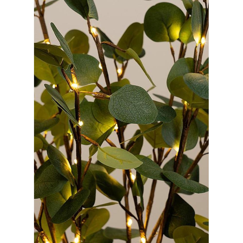 Eucalyptus Branch With Lights