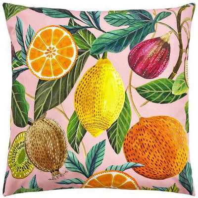 Citrus Outdoor Pillow Multi