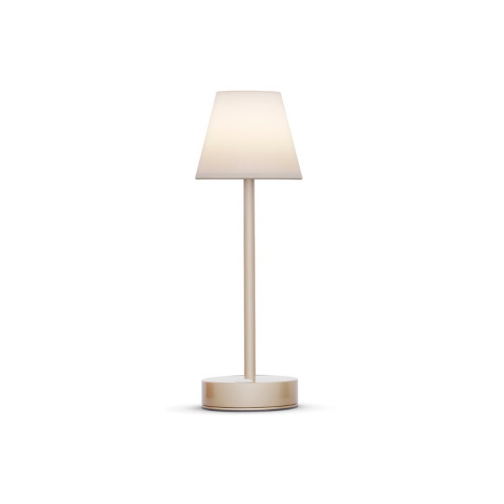 x3 Lola Slim Brass Re-chargeable Lamps