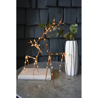 Festive Wire Lights Pack