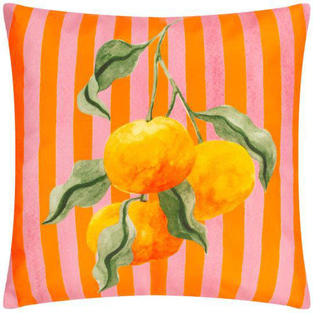 Oranges Outdoor Pillow Orange