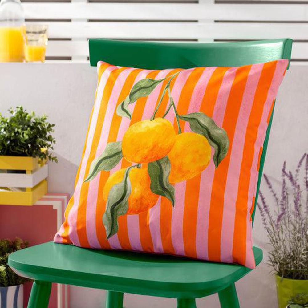 Oranges Outdoor Pillow Orange