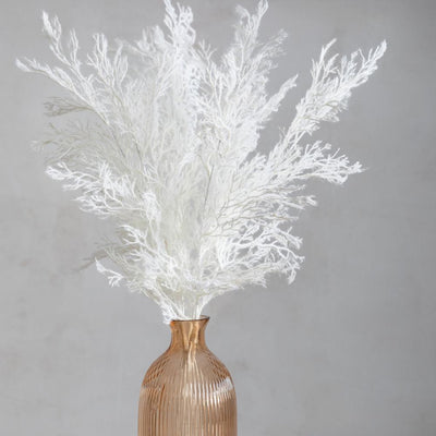 PLANTS - X5 Pampas Flocked White