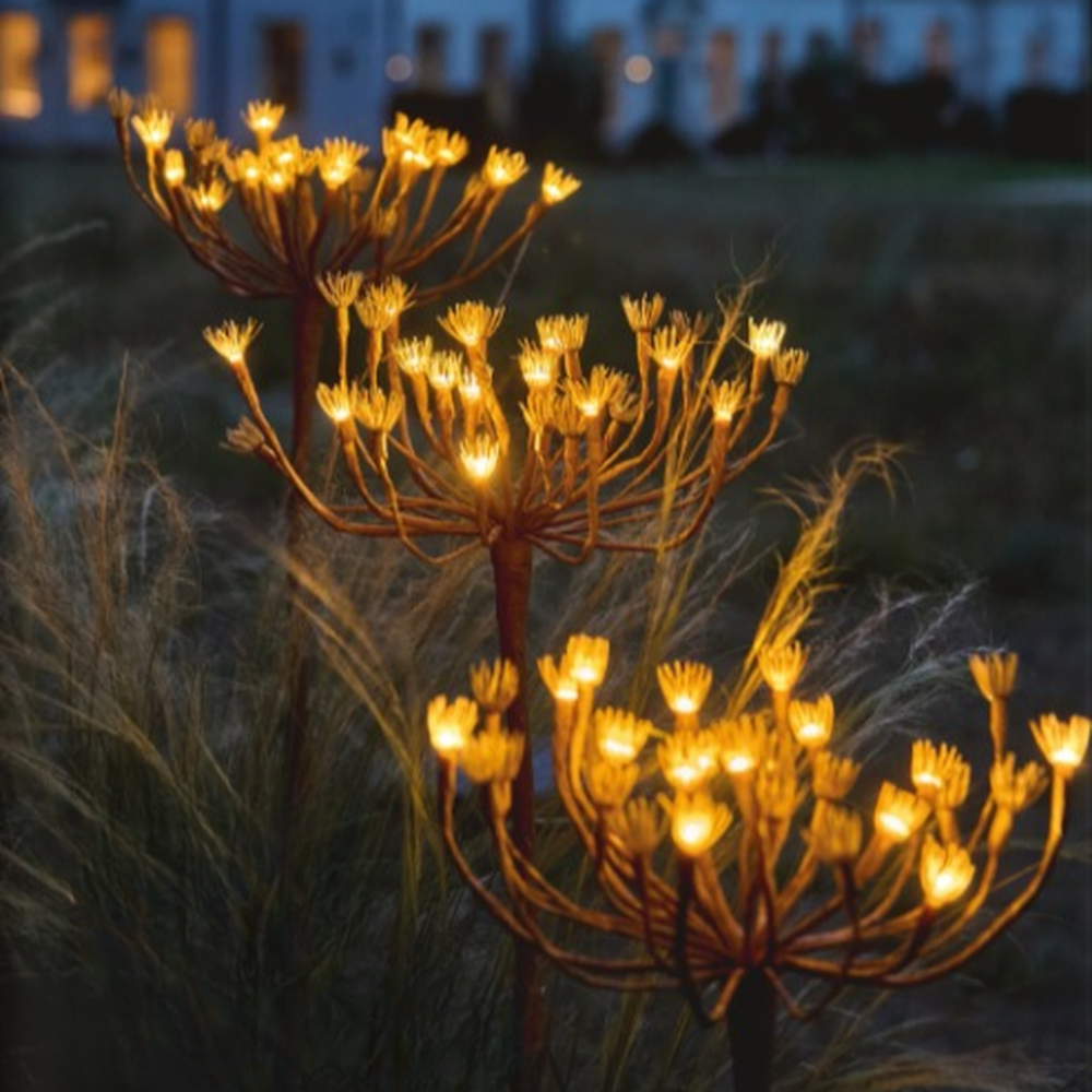 x6 Wild Fennel Lights