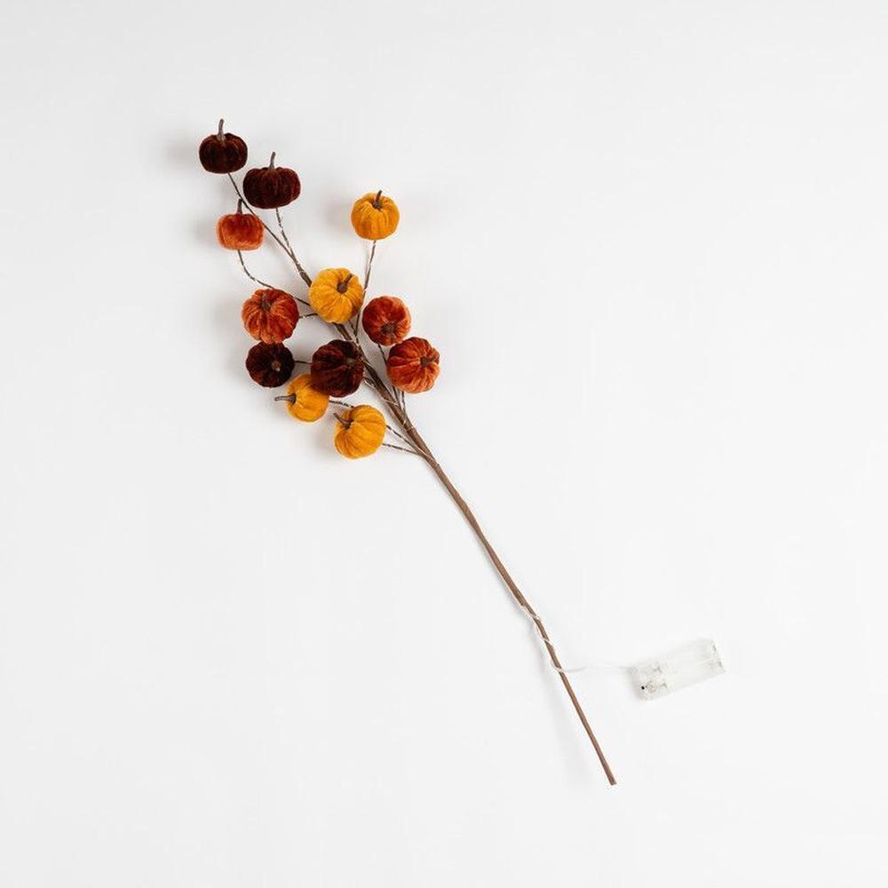 x6 Velvet Pumpkin Pre Lit Stems Brown