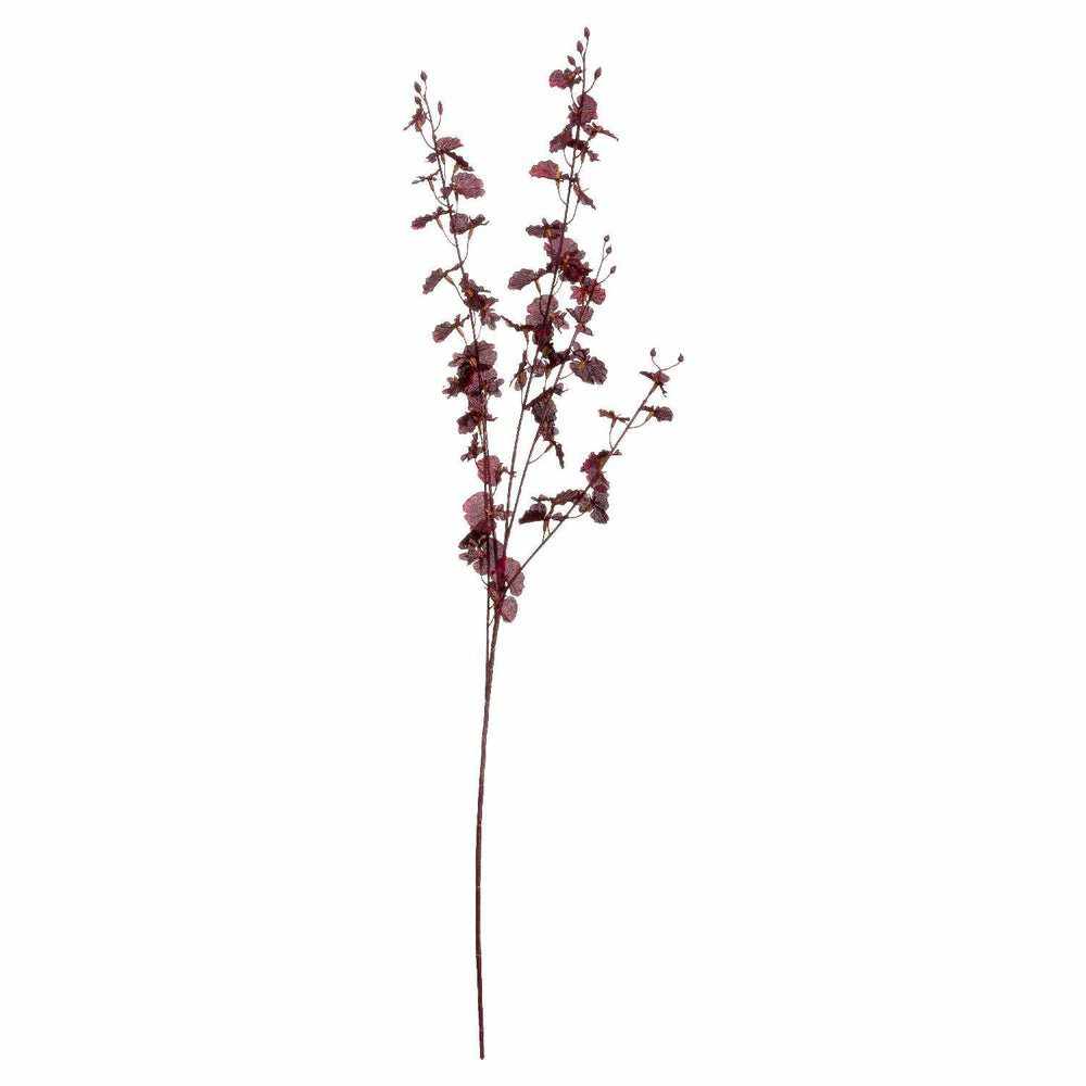 Deep Burgundy Orchid Spray (x5 Stems)