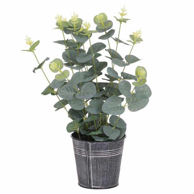 Eucalyptus In Tin Pot - NEST & FLOWERS