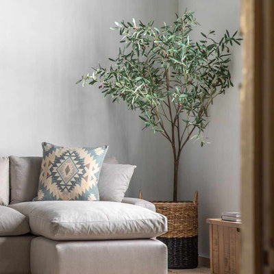 Everlasting Olive Tree Tall - NEST & FLOWERS
