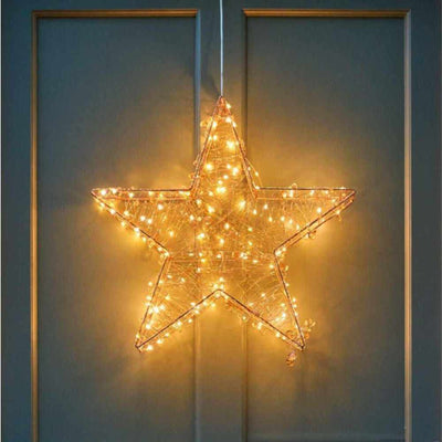 Hanging Star Copper - NEST & FLOWERS