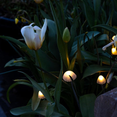 Tall Mushroom Solar Lights