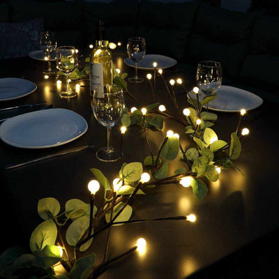PLANTS - Outdoor Eucalyptus & Candles Set