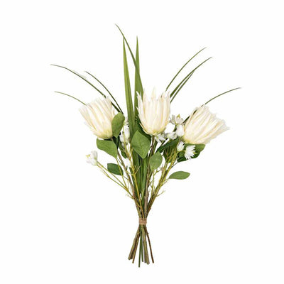 PLANTS - Protea Arrangement White