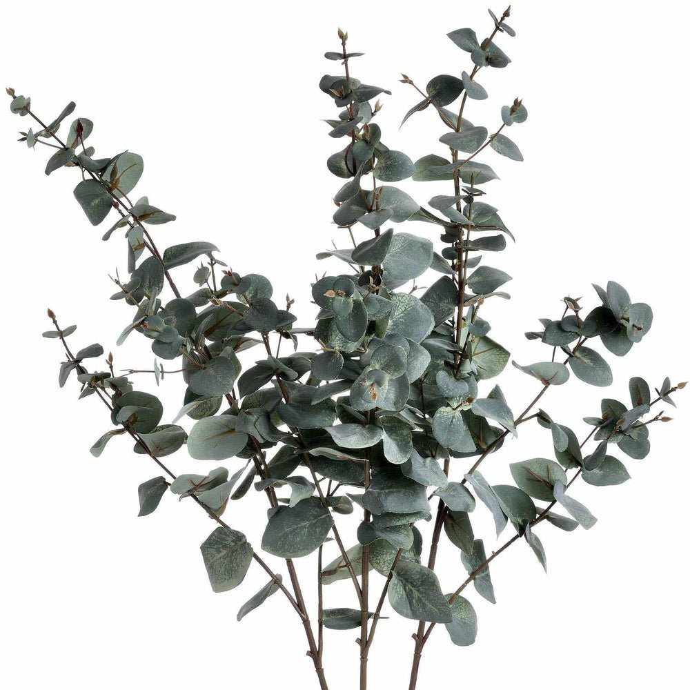 Variegated Eucalyptus - NEST & FLOWERS