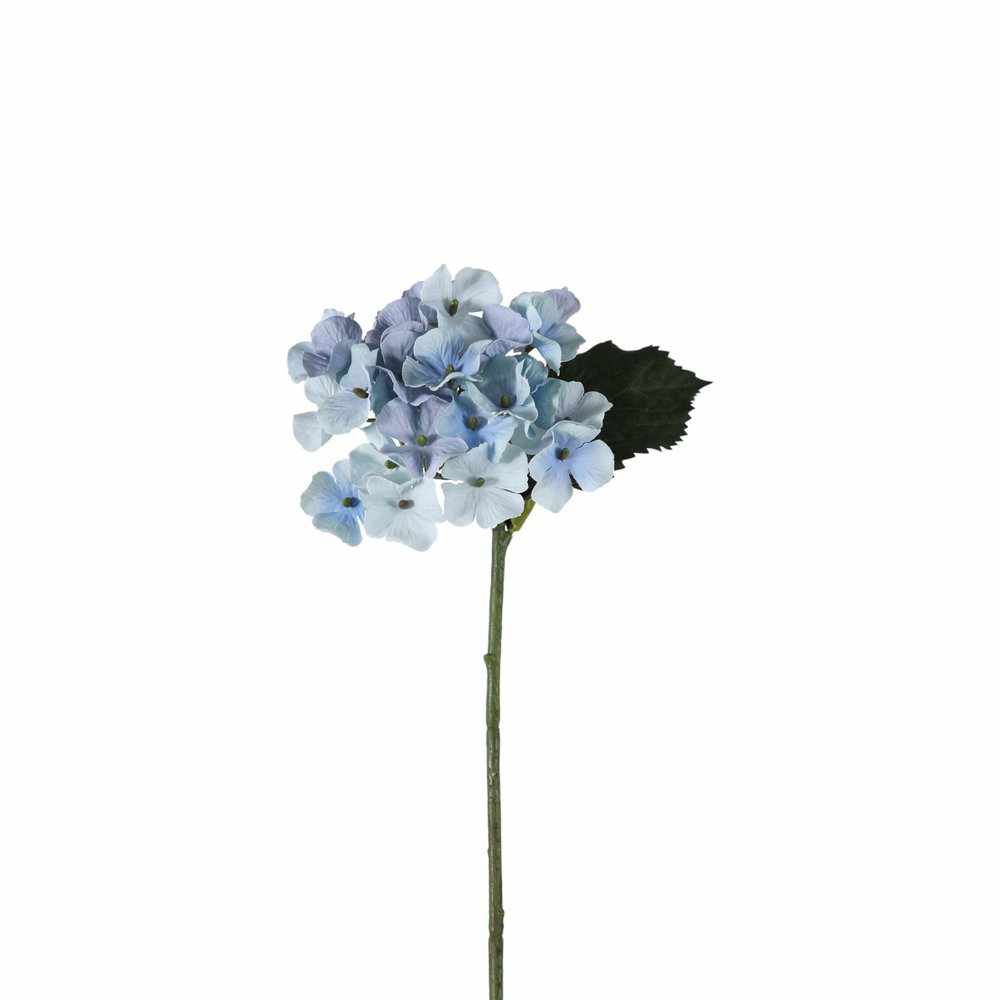 PLANTS - X12 Hydrangea Stems Blue