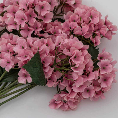 PLANTS - X12 Hydrangea Stems Pink